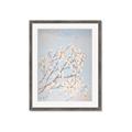 Picture of Cotton flowers _GroupedProduct_Rectangle_Portrait_Framed_Matted_