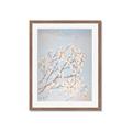 Picture of Cotton flowers _GroupedProduct_Rectangle_Portrait_Framed_Matted_