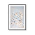 Picture of Cotton flowers _GroupedProduct_Rectangle_Portrait_Framed_Matted_