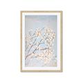 Picture of Cotton flowers _GroupedProduct_Rectangle_Portrait_Framed_Matted_