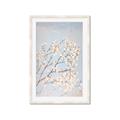 Picture of Cotton flowers _GroupedProduct_Rectangle_Portrait_Framed_Matted_