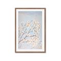 Picture of Cotton flowers _GroupedProduct_Rectangle_Portrait_Framed_Matted_