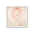 Picture of Body Lines _GroupedProduct_Square_Framed_Matted_