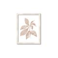 Picture of Neutral Watercolour Botanical I _GroupedProduct_Rectangle_Portrait_Framed_Matted_