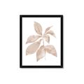 Picture of Neutral Watercolour Botanical I _GroupedProduct_Rectangle_Portrait_Framed_Matted_