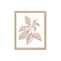 Picture of Neutral Watercolour Botanical I _GroupedProduct_Rectangle_Portrait_Framed_Matted_