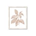 Picture of Neutral Watercolour Botanical I _GroupedProduct_Rectangle_Portrait_Framed_Matted_