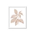 Picture of Neutral Watercolour Botanical I _GroupedProduct_Rectangle_Portrait_Framed_Matted_