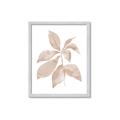 Picture of Neutral Watercolour Botanical I _GroupedProduct_Rectangle_Portrait_Framed_Matted_