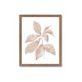 Picture of Neutral Watercolour Botanical I _GroupedProduct_Rectangle_Portrait_Framed_Matted_
