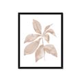 Picture of Neutral Watercolour Botanical I _GroupedProduct_Rectangle_Portrait_Framed_Matted_