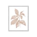 Picture of Neutral Watercolour Botanical I _GroupedProduct_Rectangle_Portrait_Framed_Matted_