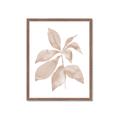 Picture of Neutral Watercolour Botanical I _GroupedProduct_Rectangle_Portrait_Framed_Matted_