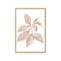 Picture of Neutral Watercolour Botanical I _GroupedProduct_Rectangle_Portrait_Framed_Matted_