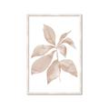 Picture of Neutral Watercolour Botanical I _GroupedProduct_Rectangle_Portrait_Framed_Matted_
