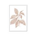 Picture of Neutral Watercolour Botanical I _GroupedProduct_Rectangle_Portrait_Framed_Matted_