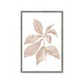Picture of Neutral Watercolour Botanical I _GroupedProduct_Rectangle_Portrait_Framed_Matted_