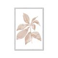Picture of Neutral Watercolour Botanical I _GroupedProduct_Rectangle_Portrait_Framed_Matted_
