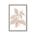 Picture of Neutral Watercolour Botanical I _GroupedProduct_Rectangle_Portrait_Framed_Matted_
