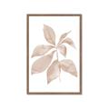 Picture of Neutral Watercolour Botanical I _GroupedProduct_Rectangle_Portrait_Framed_Matted_
