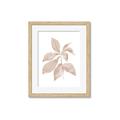Picture of Neutral Watercolour Botanical I _GroupedProduct_Rectangle_Portrait_Framed_Matted_