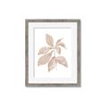 Picture of Neutral Watercolour Botanical I _GroupedProduct_Rectangle_Portrait_Framed_Matted_