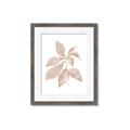 Picture of Neutral Watercolour Botanical I _GroupedProduct_Rectangle_Portrait_Framed_Matted_