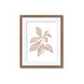 Picture of Neutral Watercolour Botanical I _GroupedProduct_Rectangle_Portrait_Framed_Matted_