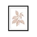 Picture of Neutral Watercolour Botanical I _GroupedProduct_Rectangle_Portrait_Framed_Matted_