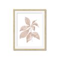 Picture of Neutral Watercolour Botanical I _GroupedProduct_Rectangle_Portrait_Framed_Matted_
