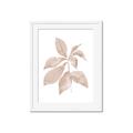 Picture of Neutral Watercolour Botanical I _GroupedProduct_Rectangle_Portrait_Framed_Matted_