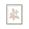 Picture of Neutral Watercolour Botanical I _GroupedProduct_Rectangle_Portrait_Framed_Matted_