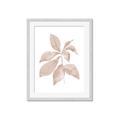 Picture of Neutral Watercolour Botanical I _GroupedProduct_Rectangle_Portrait_Framed_Matted_