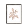 Picture of Neutral Watercolour Botanical I _GroupedProduct_Rectangle_Portrait_Framed_Matted_