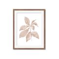 Picture of Neutral Watercolour Botanical I _GroupedProduct_Rectangle_Portrait_Framed_Matted_