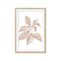 Picture of Neutral Watercolour Botanical I _GroupedProduct_Rectangle_Portrait_Framed_Matted_