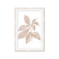 Picture of Neutral Watercolour Botanical I _GroupedProduct_Rectangle_Portrait_Framed_Matted_