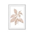 Picture of Neutral Watercolour Botanical I _GroupedProduct_Rectangle_Portrait_Framed_Matted_