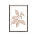 Picture of Neutral Watercolour Botanical I _GroupedProduct_Rectangle_Portrait_Framed_Matted_