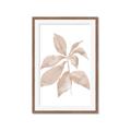 Picture of Neutral Watercolour Botanical I _GroupedProduct_Rectangle_Portrait_Framed_Matted_