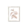 Picture of Neutral Watercolour Botanical II _GroupedProduct_Rectangle_Portrait_Framed_Matted_