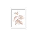 Picture of Neutral Watercolour Botanical II _GroupedProduct_Rectangle_Portrait_Framed_Matted_