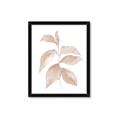 Picture of Neutral Watercolour Botanical II _GroupedProduct_Rectangle_Portrait_Framed_Matted_