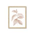 Picture of Neutral Watercolour Botanical II _GroupedProduct_Rectangle_Portrait_Framed_Matted_