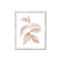 Picture of Neutral Watercolour Botanical II _GroupedProduct_Rectangle_Portrait_Framed_Matted_
