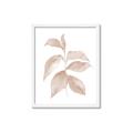 Picture of Neutral Watercolour Botanical II _GroupedProduct_Rectangle_Portrait_Framed_Matted_