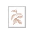 Picture of Neutral Watercolour Botanical II _GroupedProduct_Rectangle_Portrait_Framed_Matted_