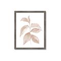 Picture of Neutral Watercolour Botanical II _GroupedProduct_Rectangle_Portrait_Framed_Matted_