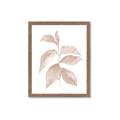Picture of Neutral Watercolour Botanical II _GroupedProduct_Rectangle_Portrait_Framed_Matted_