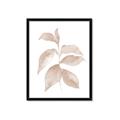 Picture of Neutral Watercolour Botanical II _GroupedProduct_Rectangle_Portrait_Framed_Matted_